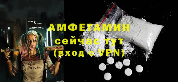 индика Нязепетровск