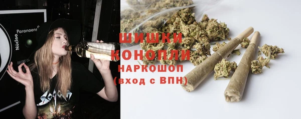 прущая мука Няндома