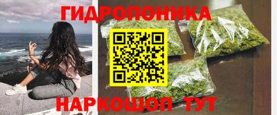 трава Аша