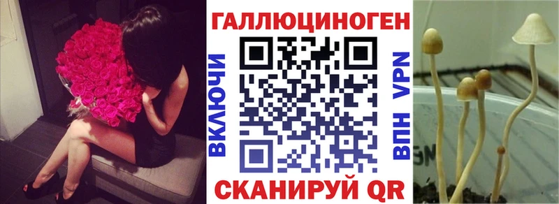 купить  цена  Петровск  Псилоцибиновые грибы мухоморы 